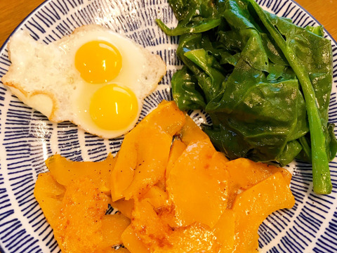 【農薬不使用栽培】バターナッツカボチャ４キロ