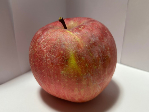 農家直送　家庭用サンふじりんご３kg（約９玉）