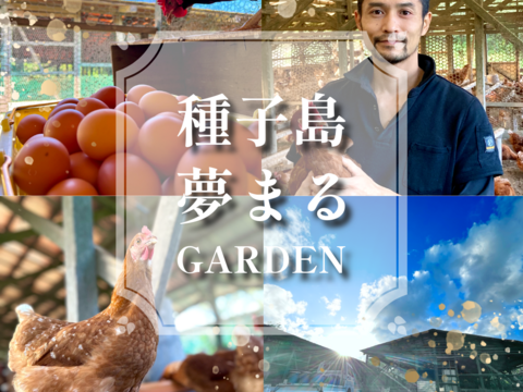 【定期購入専用】
☆＊【安納芋の甘みがギュッ‼️】＊☆
っと詰まった夢まる自然卵(10個入り6箱)