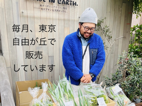 【お肉料理をもっと美味しく】体にやさしい自然栽培サラダセット＋季節のやさい3種類
