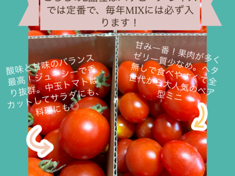 【夏ギフト】北海道のオーガニック完熟ミニトマトMIX 2kg入