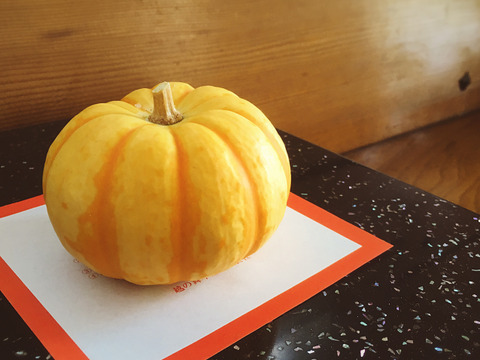 手のひらサイズの可愛いかぼちゃ*プッチィーニ2個+お野菜セット