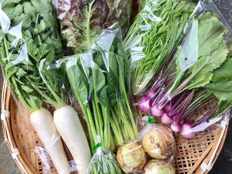 富士山の麓で採れた露地野菜セット(6〜8品)