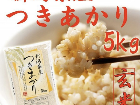 新潟県産　つきあかり  5キロ  玄米  令和4年産　(72)