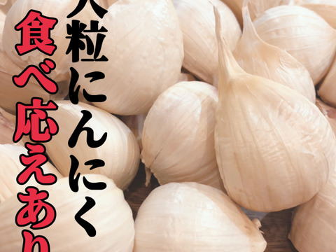 【新春にんにく福袋🉐】本場青森のおいしいにんにく35玉たっぷりお届け🧄🧄🧄