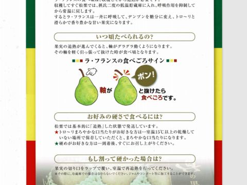 優先配送 訳あり】ラフランス 規格外の小玉サイズ！約6kg：山形県産のラ 果物