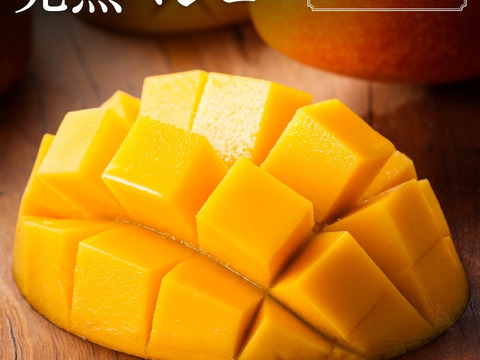 果汁たっぷり！糖度15度超えの太陽マンゴー(2Lサイズ3玉セットで1080g〜1347g)