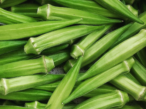 赤白緑オクラ3色セット600g程（計60~80本程） ≪さぬき讃ベジタブル≫