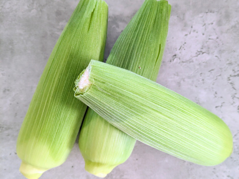 一足早く沖縄からお届け！スイートコーン8本(約1.5〜1.8kg)