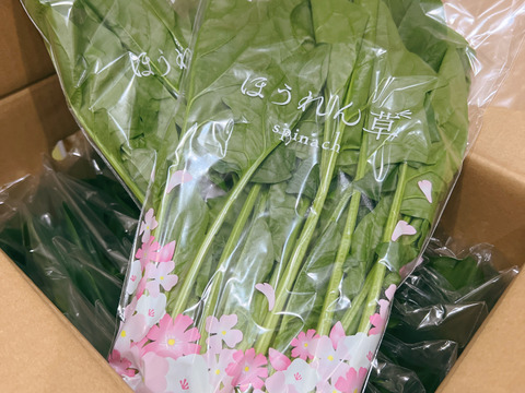 おまかせ。魂のほうれん草 21袋（3kg）