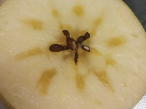 甘～い「はるか」りんごジュース（パウチ入り１０袋）化粧箱入り