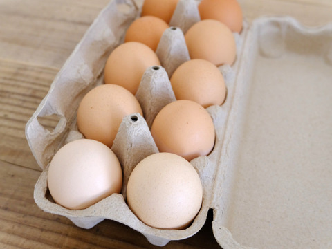 【サステナブルな地域循環型セット】農薬不使用野菜5種と国産飼料の放牧卵「君は太陽」10個