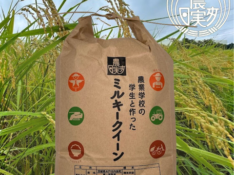 農業学校の学生と作ったお米　日本農業実践学園の【ミルキークイーン】令和4年産 無洗米 白米5kg【分搗き対応可】