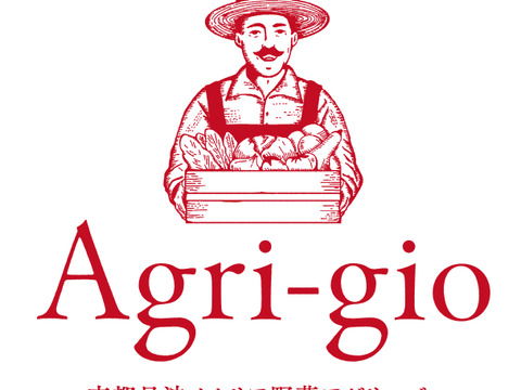 【ほろ苦さといろどり鮮やか野菜】京都産トレビス2玉（約800g）