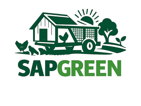 【予約】🎍新春縁起🎌大寒卵・チキントラクター自然卵・12個（６個×２パック）