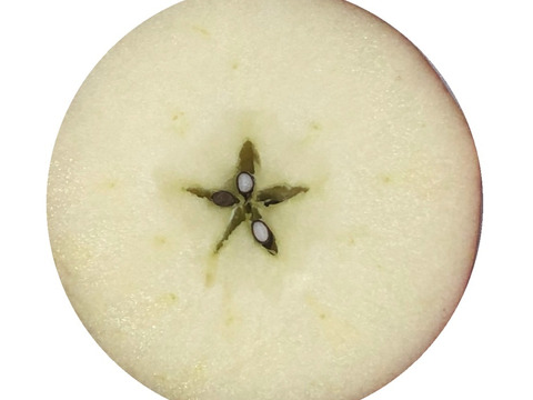 【規格外】ドッドーン🤩と大盛りシナノスイート【特売品 約10Kg】青森県産