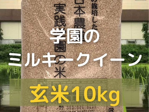 学生と作ったお米　日本農業実践学園のミルキークイーン【玄米10kg】もっちり甘い　令和5年産