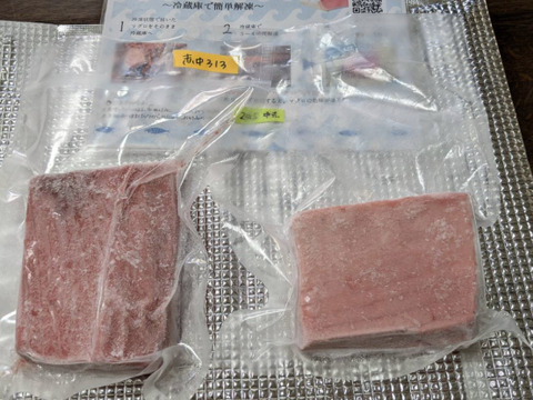 【中赤身500g】【ギフト品】対応！マグロの王様本マグロ🌊 天然国産冷凍！とろける極上脂の中トロとモチモチの赤身の本マグロ　中トロ・赤身！