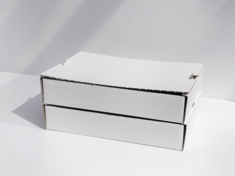 【人気品種】スターナイト4P　お得なご家庭用！　250g×4p