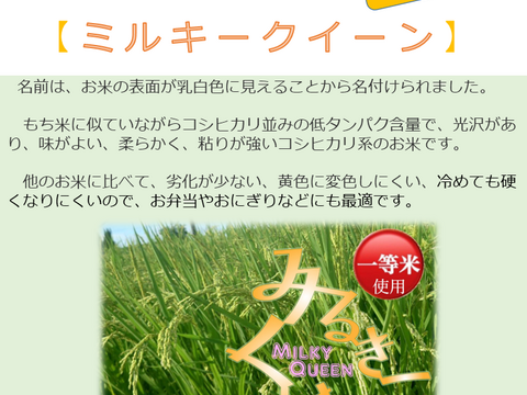 ３種食べ比べセット！キヌムスメ・にこまる・ミルキークイーン 2026年産「岡山県産お米」２kg×３個セット