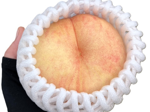 今年の桃はよくできました！おまかせ桃セット 約3㎏