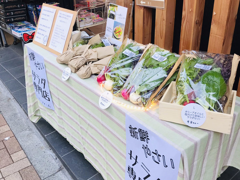 【東京  自由ヶ丘で販売】塩とお酢  オリーブオイルだけで美味しい健康サラダセット  2袋