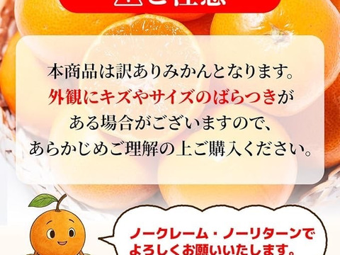 訳ありみかん 【品種: 寿太郎 約9キロ箱込】みかん 寿太郎みかん わけあり 西浦みかん 静岡産 【3月上旬までの季節限定品！】