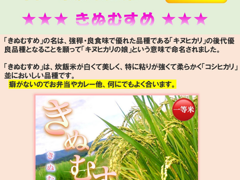 ３種食べ比べセット！キヌムスメ・にこまる・ミルキークイーン 2026年産「岡山県産お米」２kg×３個セット