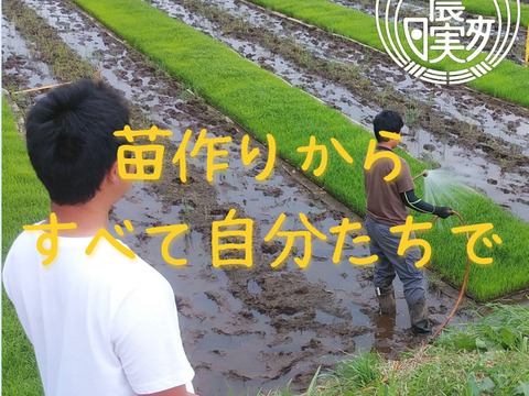 学生と作ったお米　日本農業実践学園の【ミルキークイーン】【令和5年産新米】3kg【無洗米・分搗き対応可】9月末発送開始