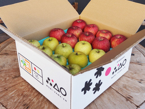 フレッシュ食感✨特別貯蔵の特選🍎🍏葉とらずふじと王林10kgセット 低農薬特別栽培りんご