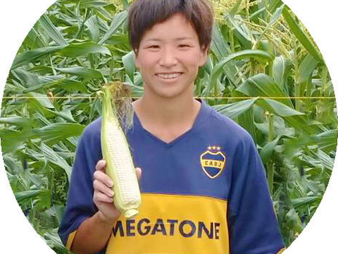 【朝採り☀】はじける甘さ！白いとうもろこし『雪の妖精』8本入