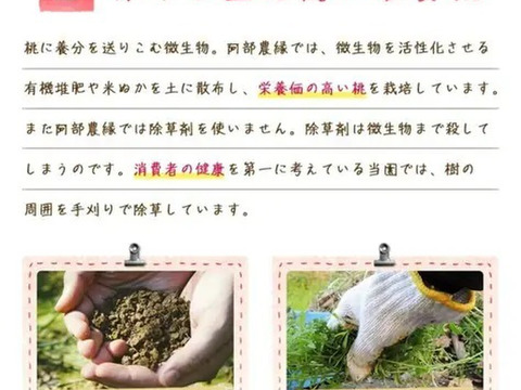 正子ばあちゃん特製タケノコごはんの素　3合用 × 4パック　朝採り新鮮筍・竹の子