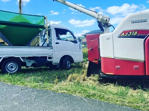 ３種食べ比べセット！キヌムスメ・にこまる・ミルキークイーン 2026年産「岡山県産お米」２kg×３個セット