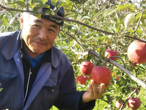 【小玉】さんふじ5キロ