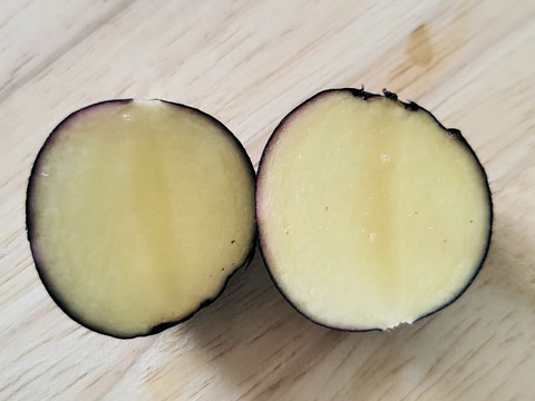 味覚の冒険へ！タワラマゼラン1.5㎏(8-16個程度)【新じゃが】