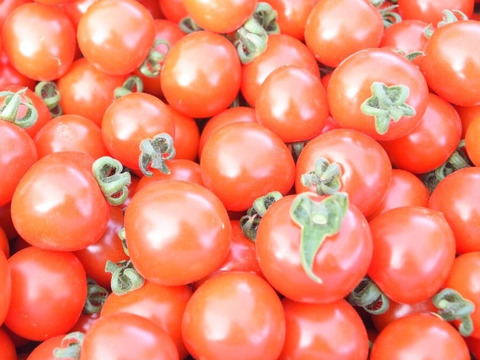 【数量限定】特製ミニトマトジュース【10本セット】