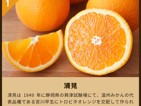 【食べ比べ】みかん・カンキツ詰め合わせセット4kg｜和歌山県海南市下津町から旬のみかん・かんきつ詰合わせセットを産地直送、農園直送でお届け。清見、セミノール、甘夏、八朔等、様々な柑橘が楽しめます