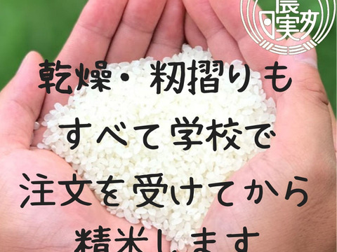 農業学校の学生と作ったお米　日本農業実践学園の【ミルキークイーン】白米5kg【無洗米・分搗き対応可】もっちり甘い【令和５年産】