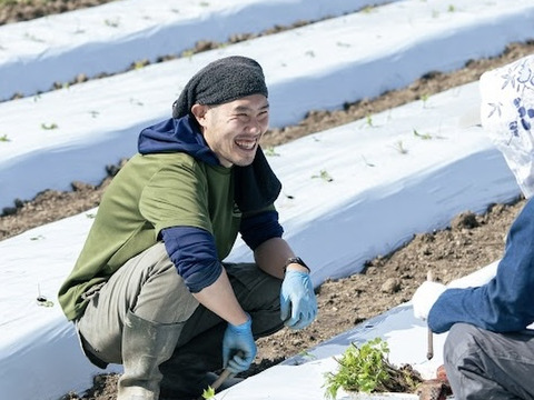 食卓に彩りを！ホテルで使われている赤芯大根（もみじスティック）