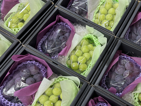 【福袋2025】 限定50セット シャインマスカット+お任せ品種(合計約1.1kg) 4200円相当以上