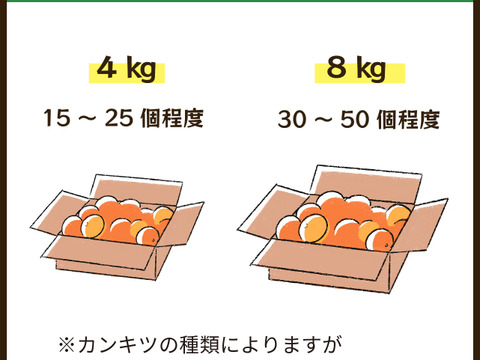 【食べ比べ】みかん・カンキツ詰め合わせセット4kg｜和歌山県海南市下津町から旬のみかん・かんきつ詰合わせセットを産地直送、農園直送でお届け。清見、セミノール、甘夏、八朔等、様々な柑橘が楽しめます