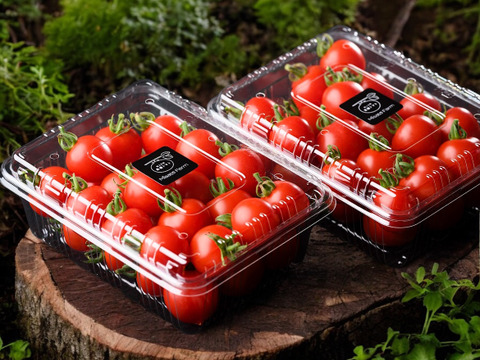 ▶︎金賞受賞◀︎【秀品化粧箱1キロ】高糖度の希少品種「ほれまる」指定