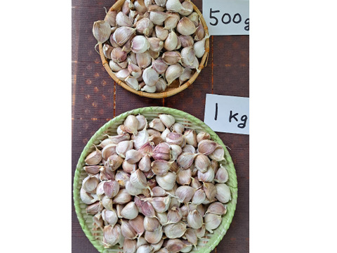 【数量限定】令和７年産　阿蘇・西原村産バラにんにく❗たっぷり1㎏箱セット❗阿蘇外輪山の豊富な地下水と豊かな自然環境で収穫した、濃厚な味わいのにんにくです。(自然乾燥)