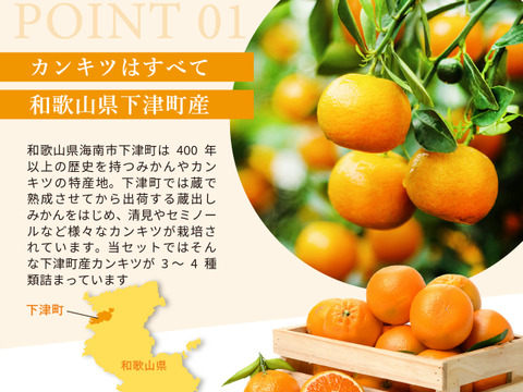 【食べ比べ】みかん・カンキツ詰め合わせセット4kg｜和歌山県海南市下津町から旬のみかん・かんきつ詰合わせセットを産地直送、農園直送でお届け。清見、セミノール、甘夏、八朔等、様々な柑橘が楽しめます