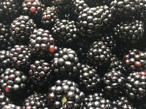 2025年予約販売　冷凍オーガニックラズベリー(黄) &オーガニックブラックベリー 各500g×1袋　1kgセット