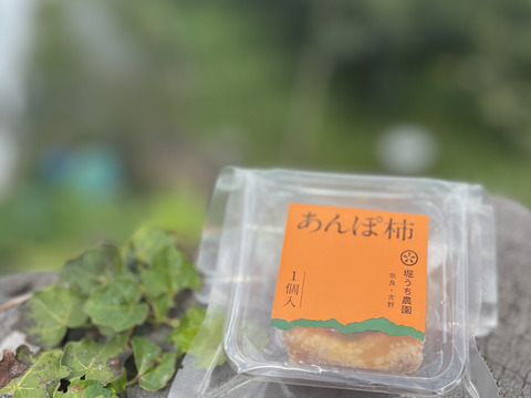 【夏ギフト】ひんやり涼菓♪とろーり♪あんぽ柿10個入りギフト(熨斗付き)