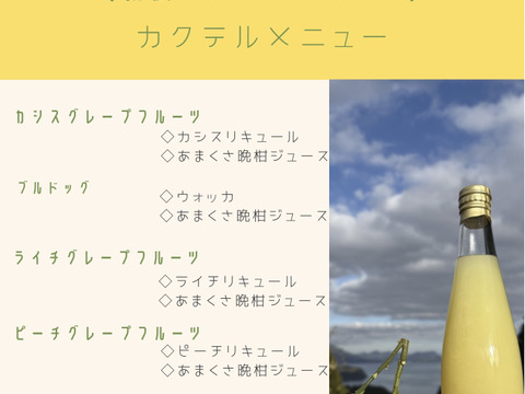【ギフト】あまくさ晩柑（河内晩柑）ジュース　ストレート果汁100% 箱入り2本セット