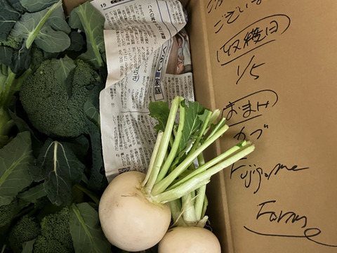 【冷蔵便】赤城の寒締めブロッコリー！６コ入り(約1.9kg）※化学農薬不使用