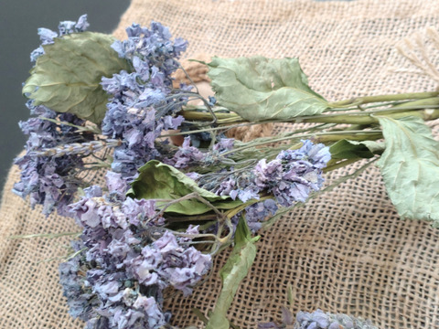 【単品用】ドライフラワー①あじさい、ホソムギ ②オルレア、ラベンダー、オリーブ※①と②のセットでお届け☆ドライフラワー 二束❀長さ約27cm🏣ゆうパック☆現品限り