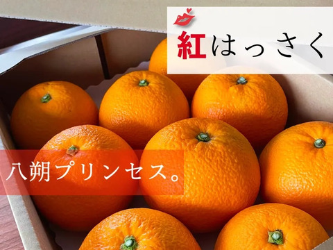 【送料500円引き】 はっさく🟡 & 紅はっさく🟠 食べ比べ2箱セット Lサイズ以上　各種8〜11玉入り 八朔　紅八朔